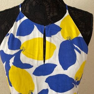 Size 6 Ann Taylor Lift cotton dress